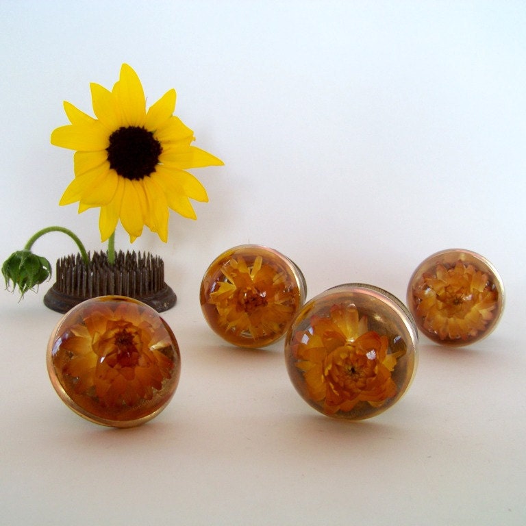 Flowers Under Lucite Knobs