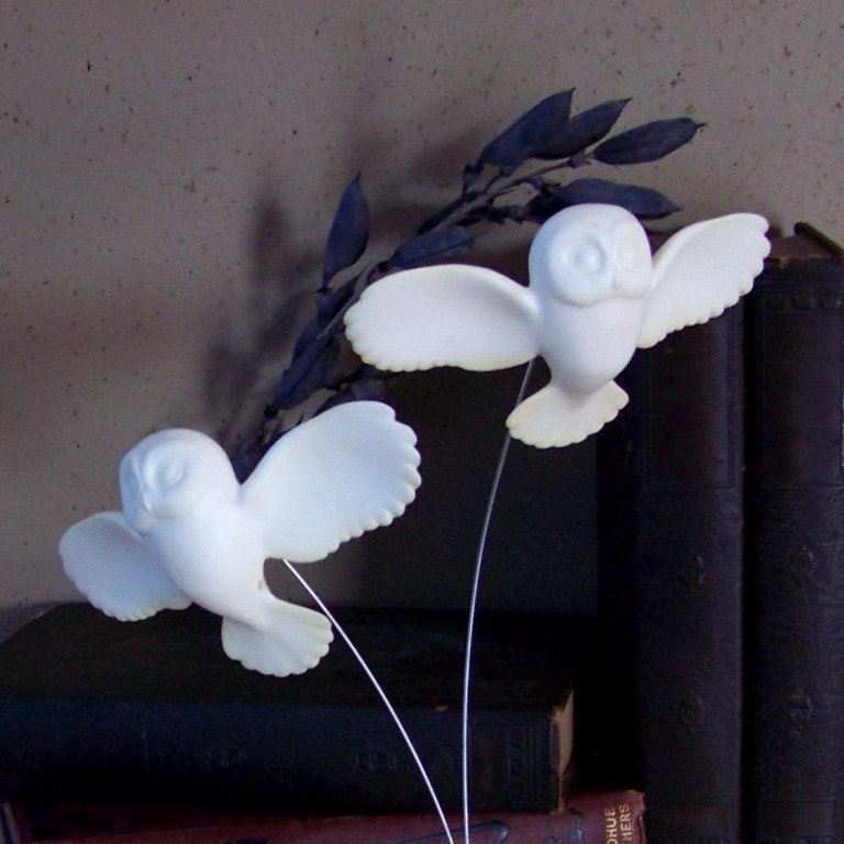 Birds In Flight