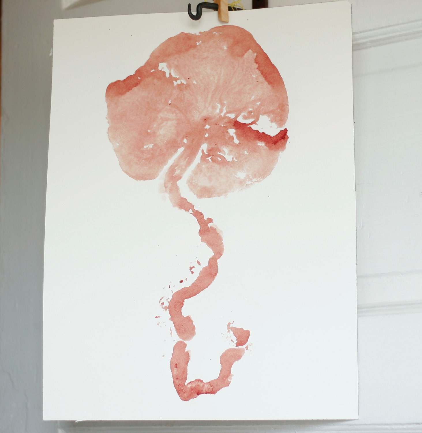 DIY Placenta Encapsulation Kit & Consultation