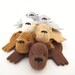 Bear Rug Coaster (Set of Six)