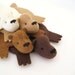 Bear Rug Coaster (Set of Four)