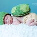 Turtle Shell and Hat Set CROCHET PATTERN