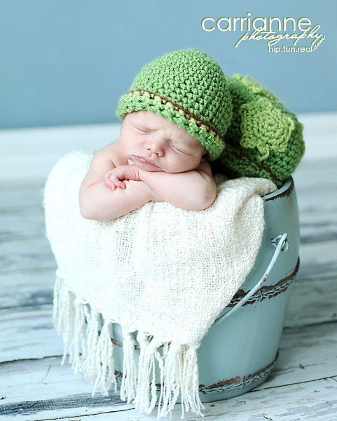 Turtle Shell and Hat Set CROCHET PATTERN