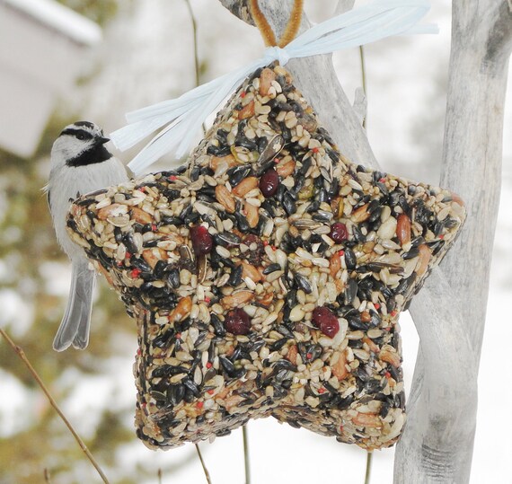 wild bird seed feeder big star organic wreath by wild bird seed feeder big star organic wreath by