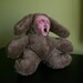Brown Bunny- original sculpture