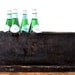 Antique Rustic Wood Storage Box with Lid