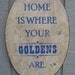PRIMITIVE SIGN - Home is Where Your Golden Is or Goldens Are