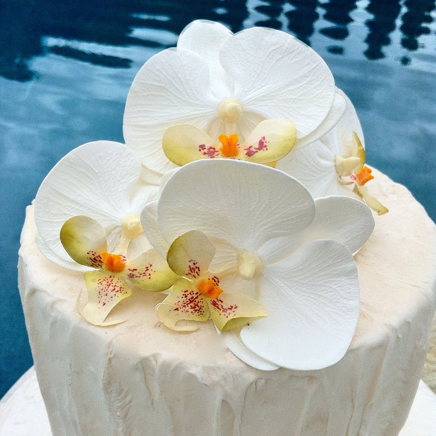 Phalaenopsis Orchid Cake flowers