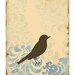 Love Bird Prints, Home Decor, French Country, Cottage Chic, Shabby, 11 x 14 inches