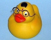 Harry Potter The Duck Who Lived