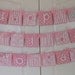 Princess Birthday-Happy Birthday Princess banner with Name and age