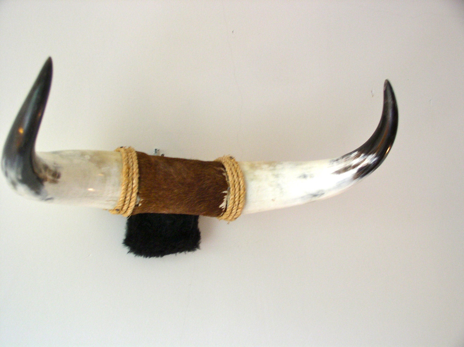 Vintage Bull Horns White and Black Cow Skin