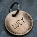 Custom Dog Tag / Custom Pet ID Tag - Lucy - in 1.25'' Domed Bronze