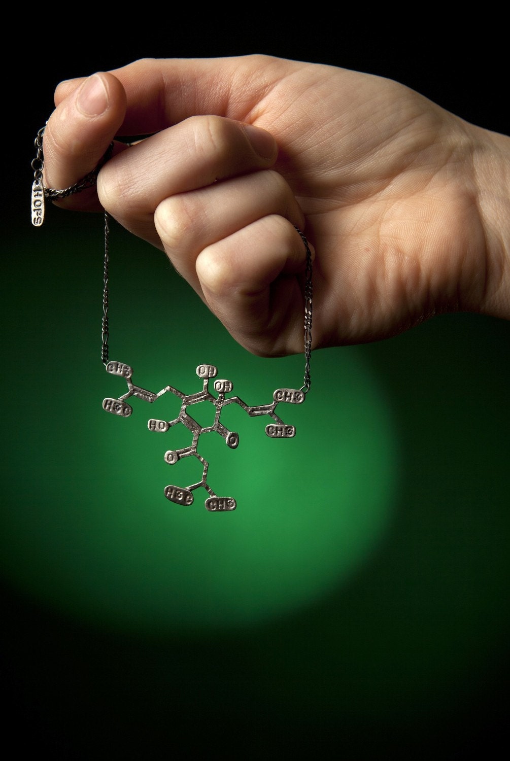Hops Chemical Structure 16" Necklace in Sterling Silver