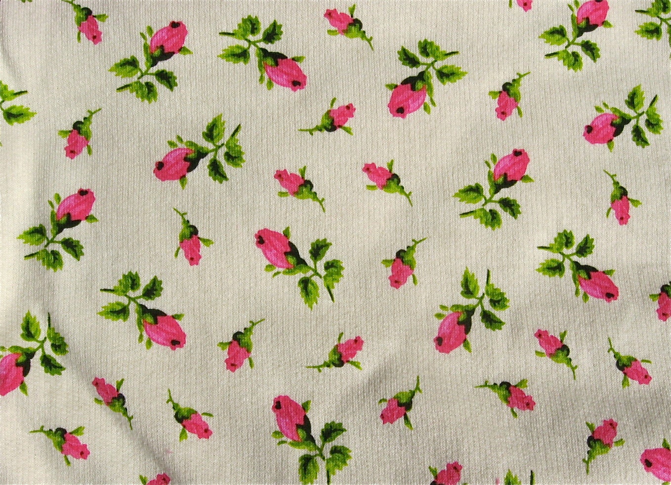 Cotton Fleece Rosebud Print
