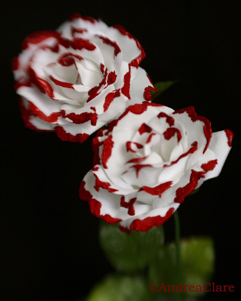 Alice in Wonderland Painting the Roses Red 8x10 Fine Art Photograph, Surreal