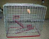 5.5 Gallon Aquarium Cage Topper Two Story, Two Doors