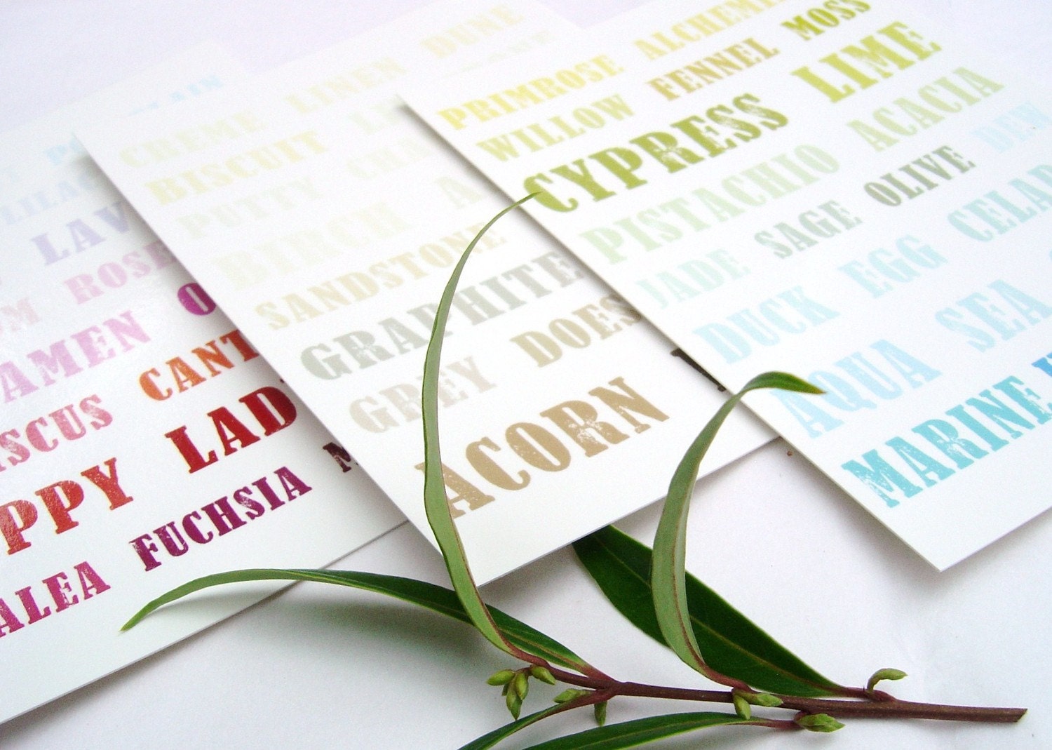Paint Palette Typography Postcards - Set of Six - Blue Green Pink Purple Natural Brown
