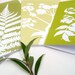 Botanical Cards Papercut Greetings Cards (A5) - Set of Five in Green and Brown Nature Silhouette Leaf Designs