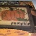 Pumpkin Patch