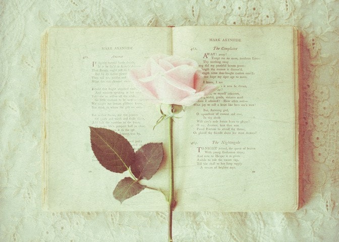 Amoret romantic vintage inspired 5x7 photograph. Pale aqua poetry book and pink rose still life. - alicewphotography