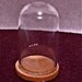 Sm Miniature Glass Dome with Wood Base 1 1/8" High D1