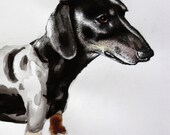 Sausage Dog print