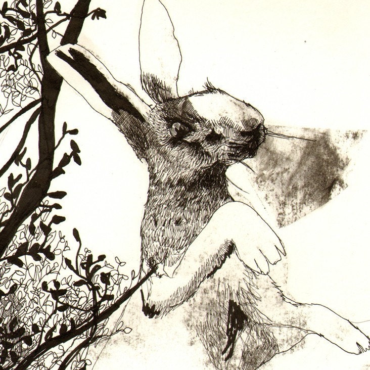 Illustration From Watership Down - 8x10