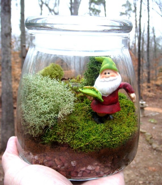 Large VIBE JAR Terrarium Gnome Moss and Lichen. by MossTerrariums