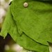 RESERVED Tinkerbell Costume with Leaf Green Wrap for Melissa