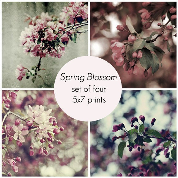 Set of four "Spring Blossom" Set - 5x7 fine art prints