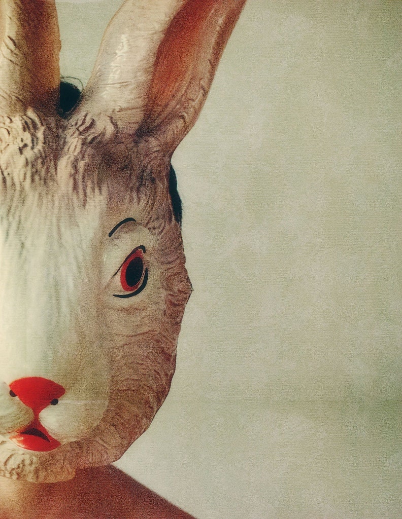 Rabbit IV - 5x7 fine art print