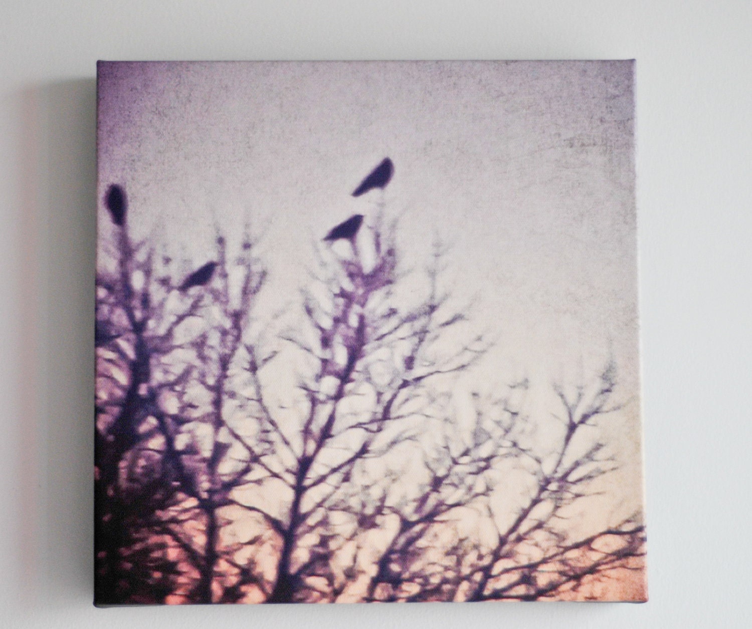 Crows at Sunset II - 12"x12" Fine art photo on canvas