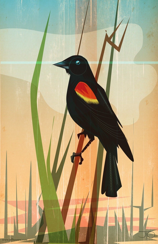 Red-winged Blackbird