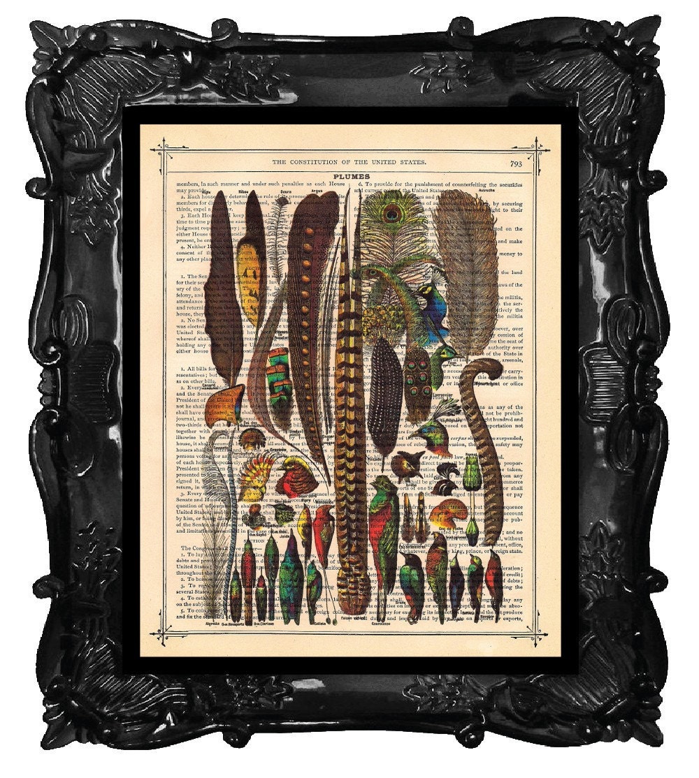 Birds FEATHER COLLAGE Print on Book Page Art Print or Dictionary Page FEATHER Art Print Home Decor Wall Decor 8x10