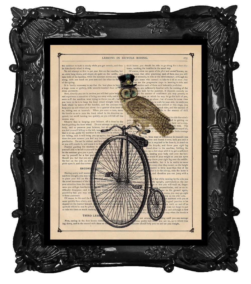 Bicycle Art Print Owl Bicycle Bike Print beautifully upcycled print dictionary page book art print steampunk