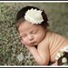 Brown and cream shabby chiffon rosette headband baby newborn toddler girl