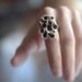 Cup Fungus Ring - Deep brown, ivory and blue. Funky and fashionable.