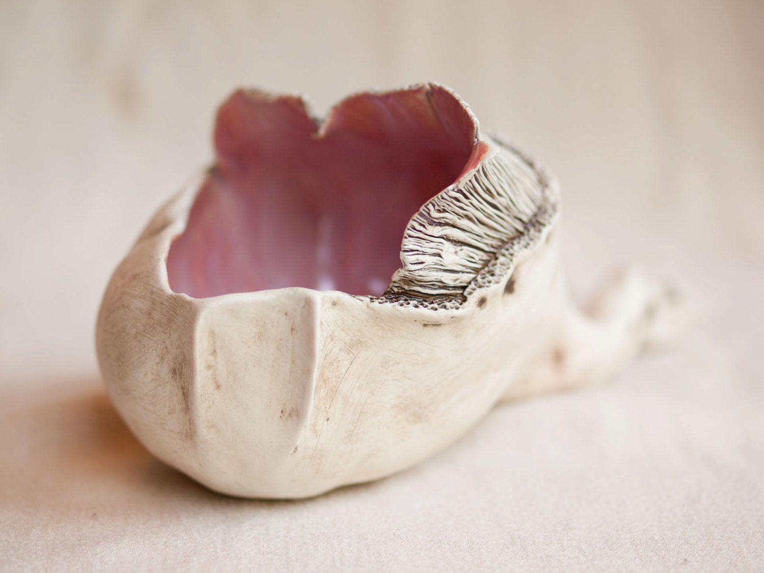 lifeform 1. Porcelain organic pod sculpture.