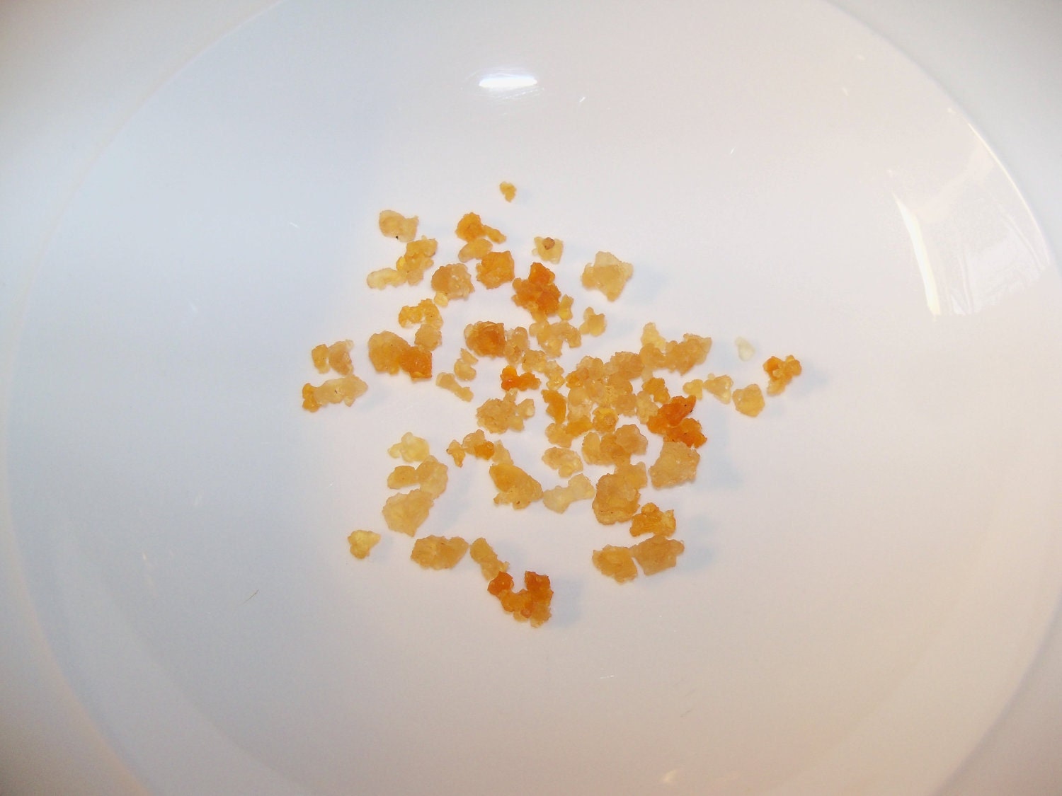 Water Kefir Grains, Tibicos, Japanese Water Crystals- FREE SHIPPING