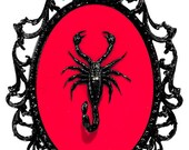 Scorpion - Victorian Framed Object - Wall Art Decor 7x10in