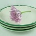 vintage restaurant ware small side plates green crest mixed lot
