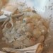 Beach Wedding Seashell Bouquets