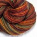 Handspun Yarn Thick and Thin Single Biue Faced Leicester 'Fall Foliage 5'