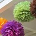 12 Poms --- Pick Your Colors