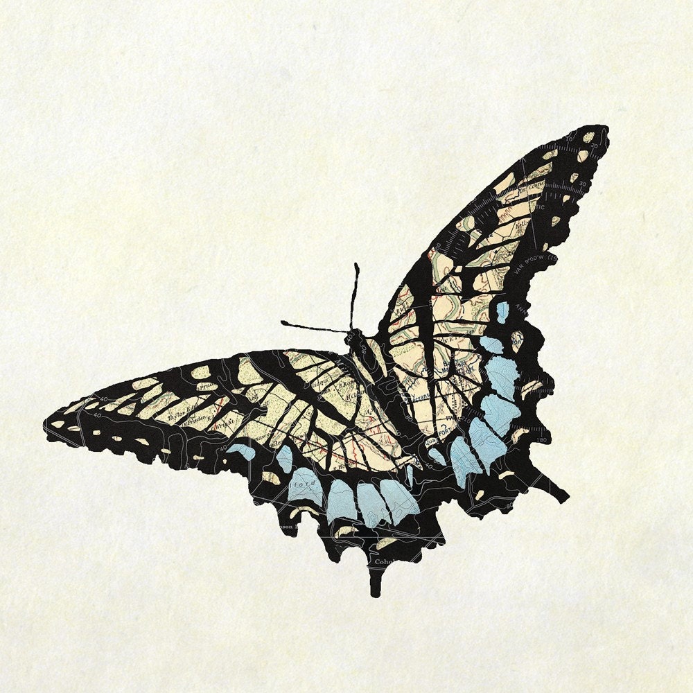 Easter Tiger Swallowtail