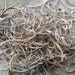 Cruelty Free Reptile Rattlesnake Snake Serpent Ribs Bones Taxidermy Religious Educational Magic Spell