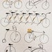 Cycling Print SCREENPRINT SERIGRAPH