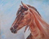 Sale, Horse painting original 8x10 oil, Equestrian - by Carol DeMumbrum