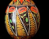 Traditional Pysanky with Eight Red Poppies, Eight Geometric Ferns in Scarlet, Gold, Green and Black